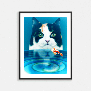 BIG CAT, LITTLE FISH